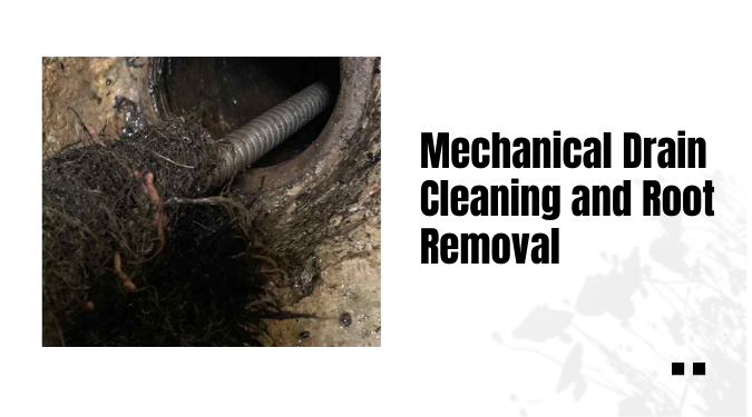 Mechanical Drain Cleaning and Root Removal 